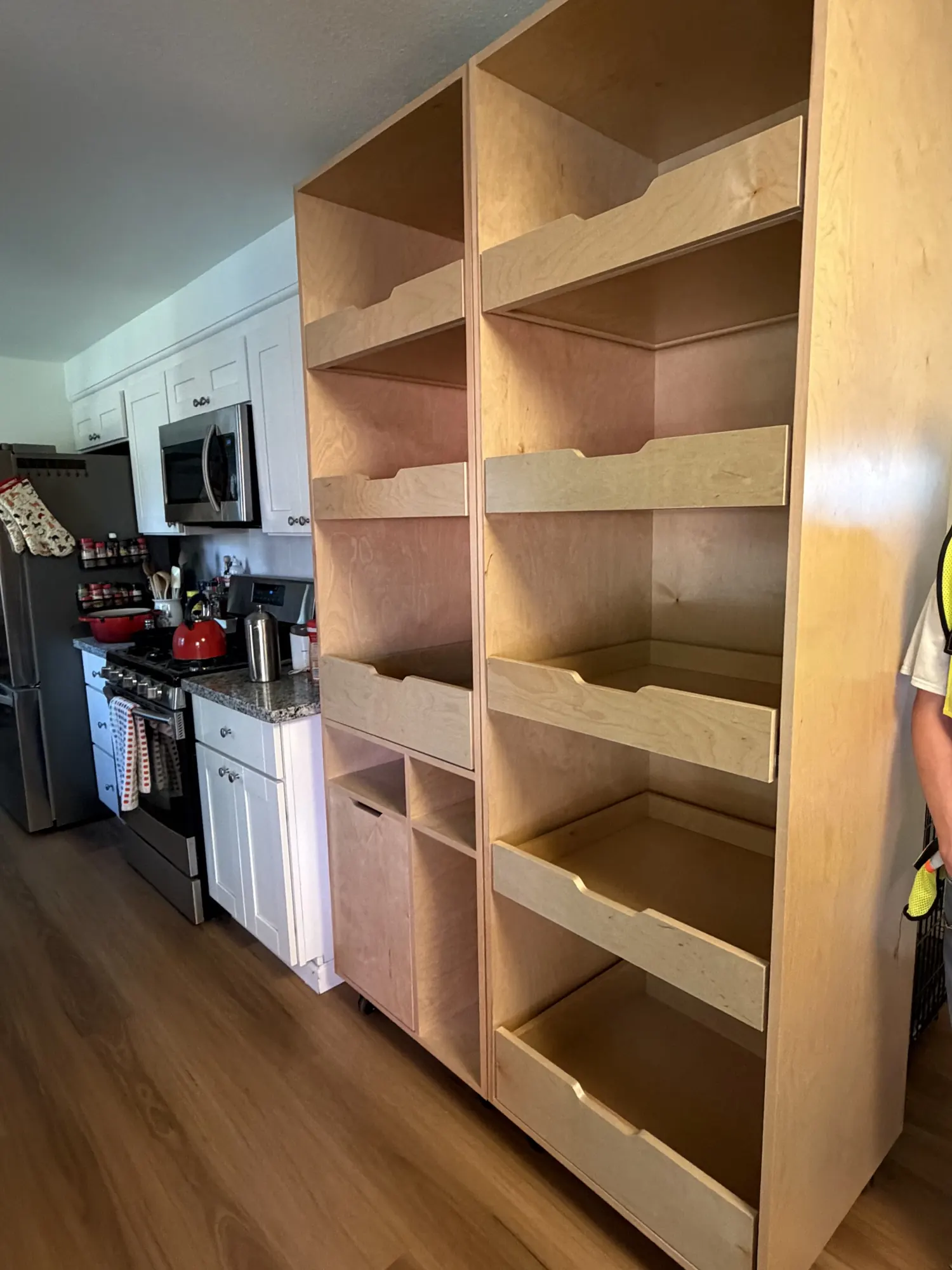 Pantry with pull-out shelves
